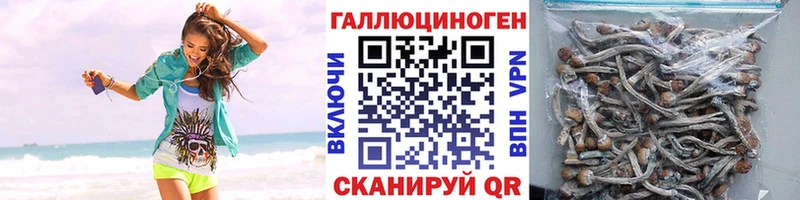 Псилоцибиновые грибы Cubensis  Урай 